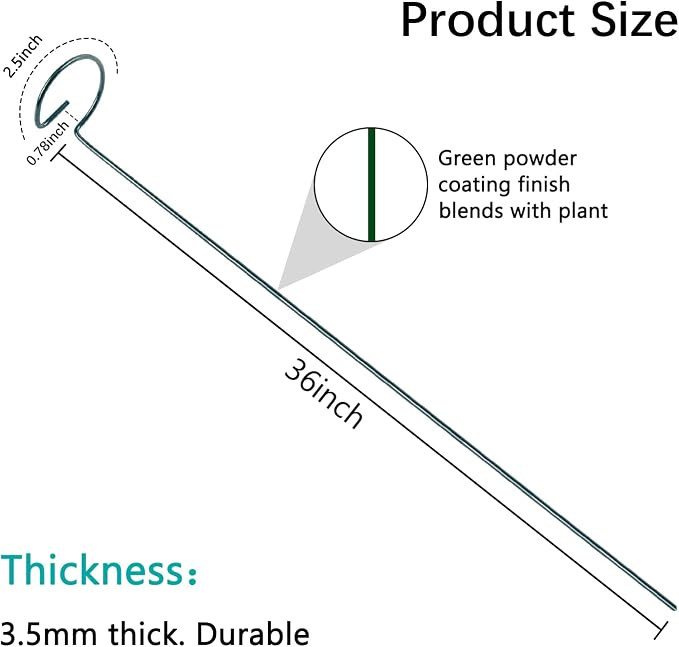 Thealyn 36 Inch 12 Packs Plant Support Stakes,Garden Single stemmed Plant Support Hoops, Plant Prop, for Flowers,Orchid, Tomatoes Peony Lily Rose (36 inch)