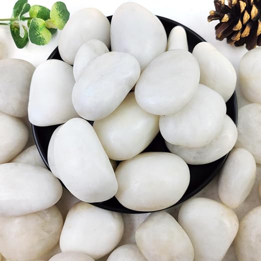 YISZM 10lbs White River Rocks, 2-3 Inch Natural Pebbles for Indoor Plants, High Polished Decorative Stones Vase Filler Fish Tank Aquariums Landscaping Garden Outdoor and Indoor DIY