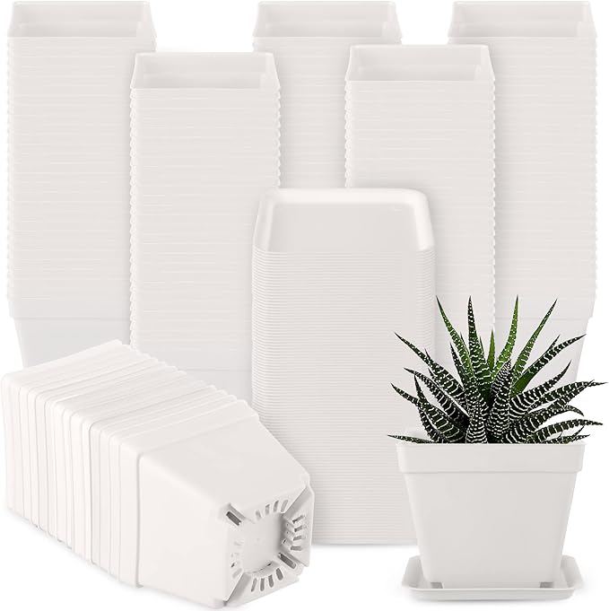 Amyhill 100 Pcs 4 Inch Flower Pots Square Plants Nursery Pot Plastic Plant Seedling Pots Small Nursery Transplanting Planter Container with Saucer for Indoor Succulent Balcony Garden (White)