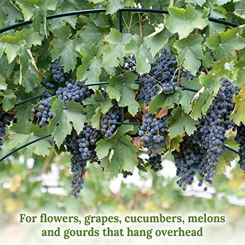 Greenhouse Replacement Frame for Outdoor Larger Hot Garden House,Support Arch Arbor Frame Climbing Plants/Vegetables/Flowers-Only Frame (16.4'x 7' x 7.2')