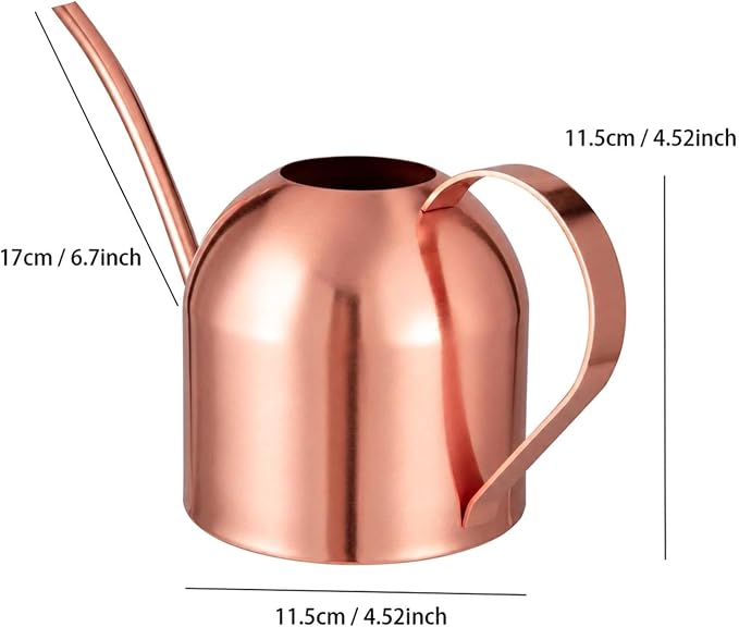 IMEEA Indoor Watering Can for House Plants 33oz/1L Stainless Steel Watering Can with Long Spout for Succulents, Bonsai