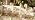 Nuanchu 4 Pcs Twisted Taper Candles,7.87 Inch,Pure,Pearl White - Image 7