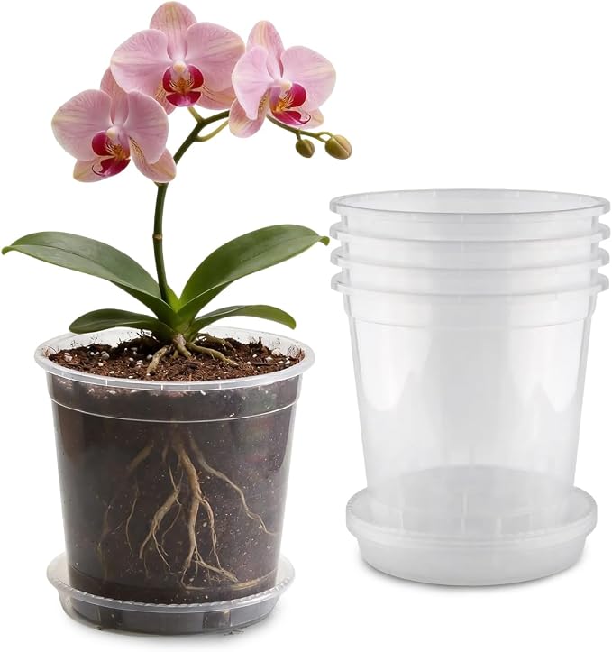 BTPLASTIK 2 Gallon Clear Nursery Pots with Saucers 5P, 7.5 Inch Round Plastic Plant Pots with Drainage Holes