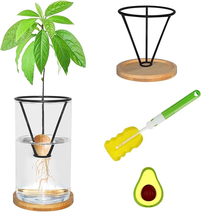 Avocado Tree Growing Kit with Bottle Brush Avocado Figurine, Bamboo Base, Avocado Seed Starter Vase Glass Plant Pot Easy Seed Sprout Starter Gift for Gardening Lovers Home Office Table Decoration