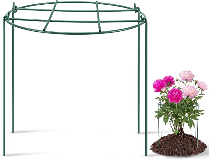 Novabright 1 Pcs 24" H x 24" D Large Peony Cage and Support Grow Through Plant Supports Round Garden Flower Stake Plants Ring Hoop for Outdoor Floral Tomato Vegetable Improve Planting Success Rate