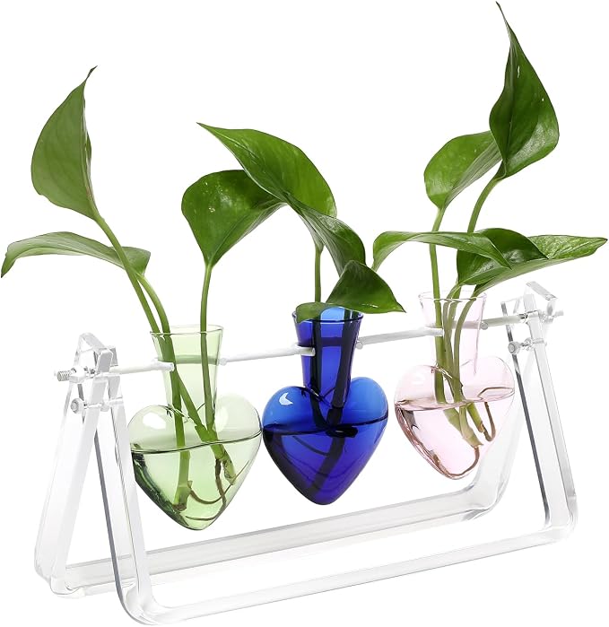 Clear Plant Terrarium Propagation Stations with Acrylic Stand | Birthday Gifts for Women Office Home Decor