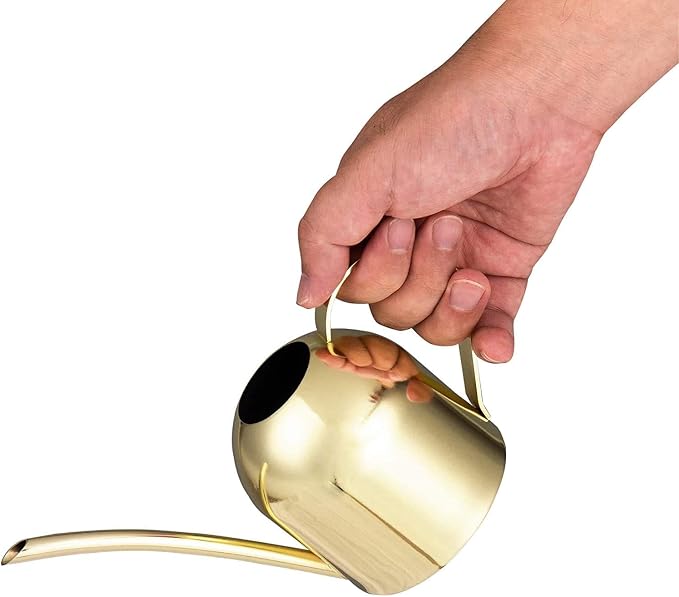 IMEEA 15oz Mini Indoor Watering Can for Small Plants Stainless Steel Watering Can with Long Spout for Desk, Windowsill & Bonsai (Gold)