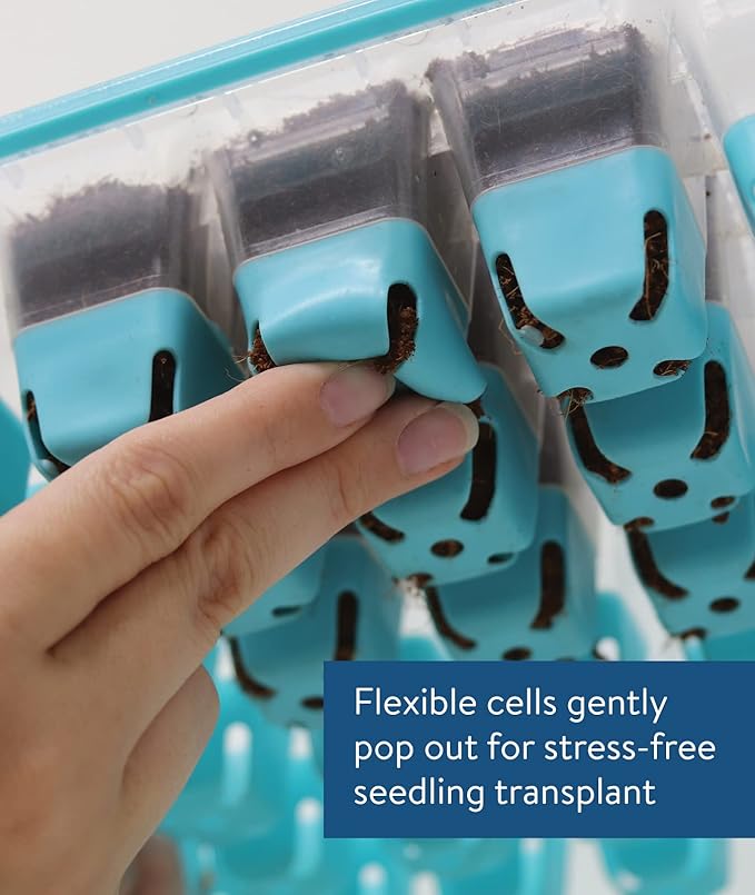 Burpee 36 & 8 Cell Seed Starting Trays | Reusable Indoor Vegetable, Flower & Herb Garden Kit | Flexible Silicone Cells for Reduced Transplant Stress
