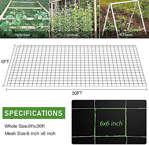 Trellis Netting, CANAGROW Heavy-Duty Garden Plant Trellis Netting for Climbing Plants, Outdoor Indoor Grow Net for Beans Tomatoes Peas Pumpkin Flowers, 6x30ft, 1 Pack - Image 2