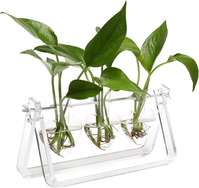 Clear Plant Terrarium Propagation Stations with Acrylic Stand | Birthday Gifts for Women Office Home Decor
