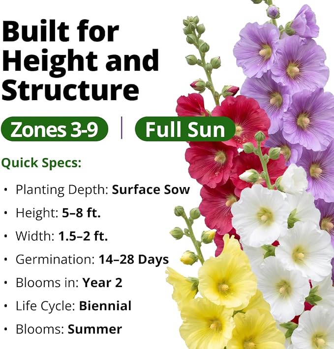 HOME GROWN Hollyhock Single Mix Planting Seeds 2026 – 29g/1oz (3000 Seeds) | Open-Pollinated Flower Seed | Heirloom Non-GMO | Deer Resistant | Self-Seeding | Zones 3–9