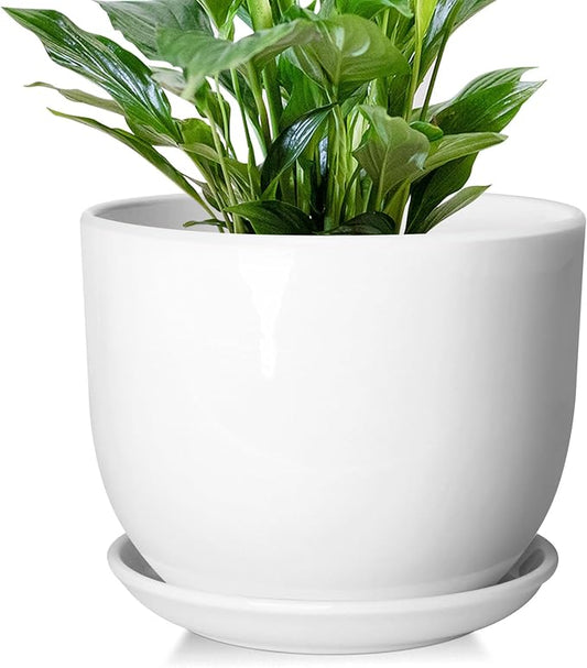 8 Inch Ceramic Planter, Plant Pots with Drainage Hole and Separable Saucer,Indoor-Outdoor Round Succulent Orchid Flower Pot,Indoor pots for Plants(White,Plant Pot only)