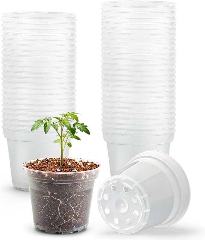 BTPLASTIK 50 Pack 3 Inch Clear Nursery Pots with Drainage Hole, Small Transparent Seed Starter Pots, Sturdy Plastic Plant Pot for Planting Seedlings Vegetables Flowers (3Inch-50P)