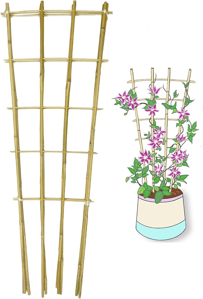 Natural Bamboo Trellis, 3Feet,3Pack,Fan-Shaped Plant Support Trellis for Outdoor and Indoor Potted Climbing Plants,Vegetables, Cucumber, Tomato, Hoya,