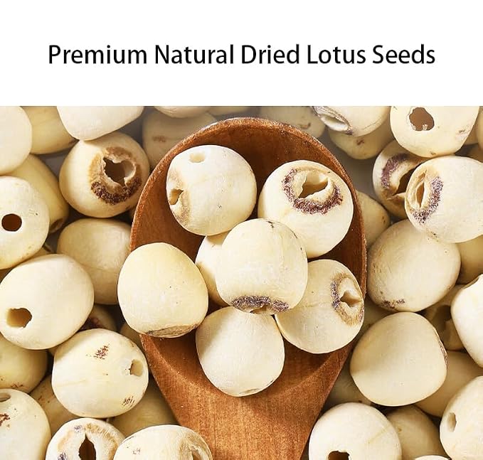 Dried Lotus Seeds - 17.64oz/500gPure Natural Chinese Herbal Medicine- 白莲子Core Removed - for Cooking, Soup, Dessert & Herbal Tea (Lotus Seeds)
