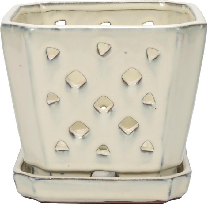 W&W Orchid Pot with Holes and Saucer for Repotting and Better Grow, Cream White, 7"