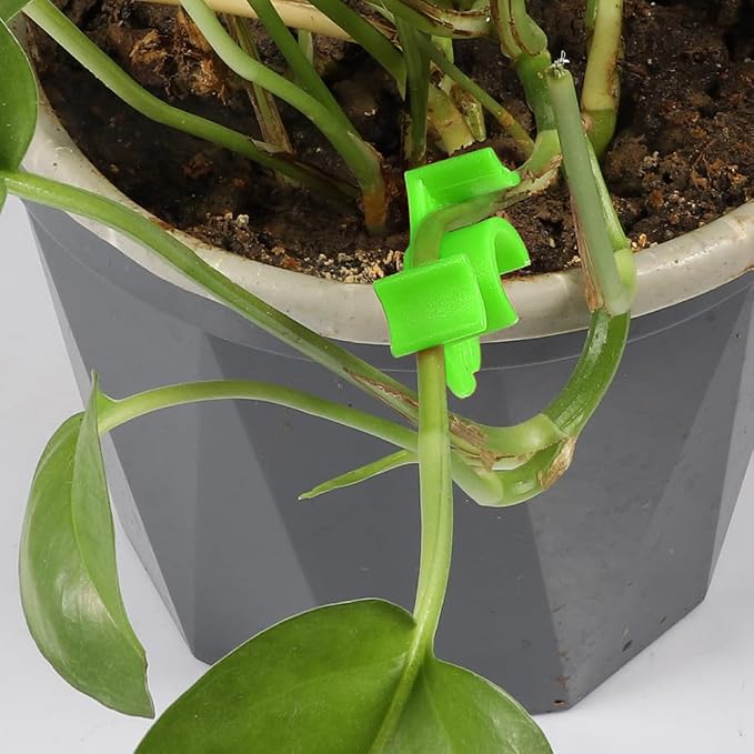LucyPhy 60 Pack Plant Bender Angle Adjustable Plant Training Clips Low Stress Training Clips 90 Degrees Plant Stem(Circle Style,Green)