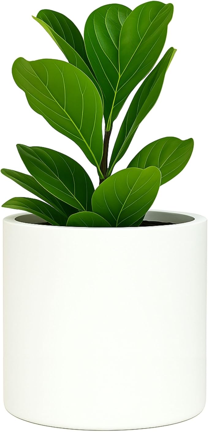 Fox & Fern Large Indoor Planter, Modern Large Plant Pot for Indoor or Outdoor, UV and Frost Resistant - 12 Inch, Fiberstone, Matte White Flower Pot with Drainage Plug, Lightweight