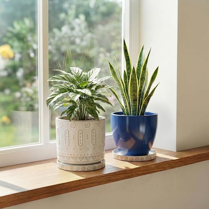 Eightpot Ceramic Plant Saucer, 2 Pack Plant Trays for Pot, 5.6 Inch Plant Pot Saucers for Indoor Outdoor, Round Plants Plates to Catch Water, Boho Decorative Plants Dishes to Catch Water, Cream White
