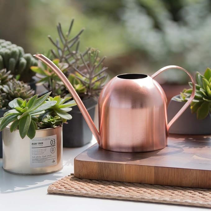 Small Watering Can Indoor Plants Metal Watering Cans 15oz Capacity Cute Design for House Plants & Gardens (Rose Gold 15 oz)