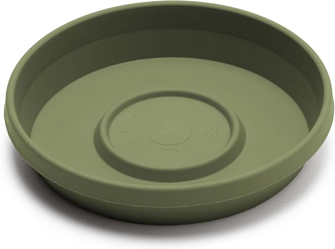 Bloem 6" Terra Round Plant Saucer, Lightweight UV-Resistant Resin Outdoor & Indoor Flower Pot Tray - Traditional Design and Durable for Garden and Home Décor - Fits 6-inch Planter Pots, Living Green