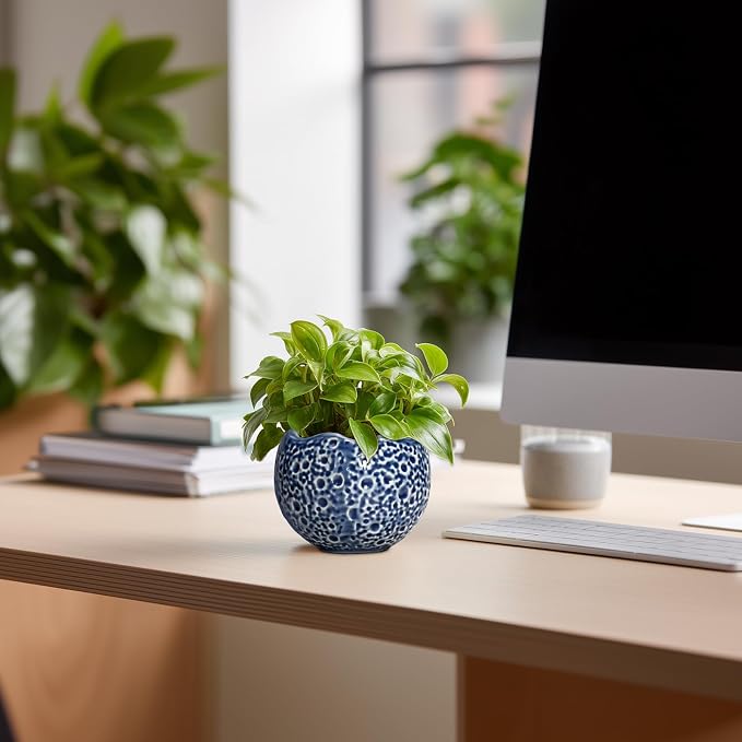 4 Inch Plant Pots - Small Ceramic Planter with Drainage Hole, Succulent Pots for Indoor Outdoor, Unique Round Planter, Modern Decorative Flower Pot, Desk Decor, Plant Lovers Gifts, Blue