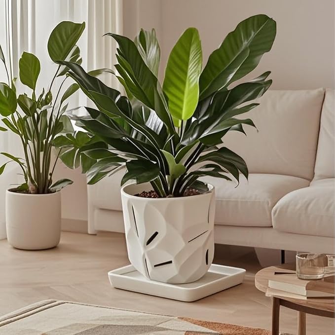 Square Ceramic Plant Saucer Tray 10 11 12 Inch White,12.4" OD x10.8 ID x1.4 Deep| Sturdy Heavy Duty Glazed Planter Drip Flower pots with Catch Basin for Indoor Outdoor Plants(12" White)