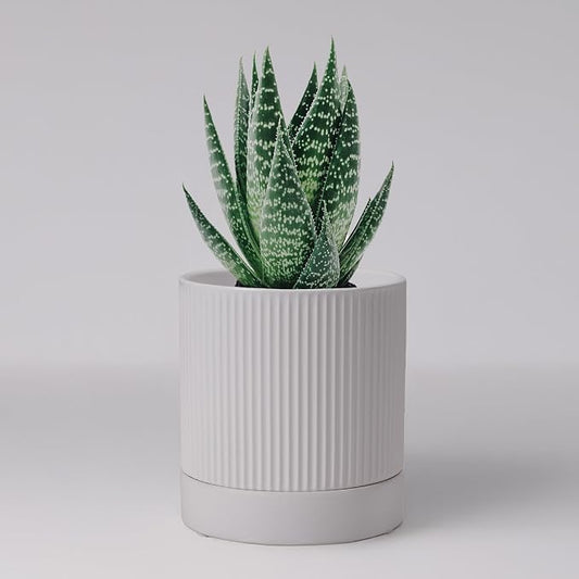 HERDUK Small Plant Pots, 4 Inch Pots for Indoor Plants, Modern Minimalist Ceramic Plant Pots with Drainage Hole & Saucer, White Set of 2
