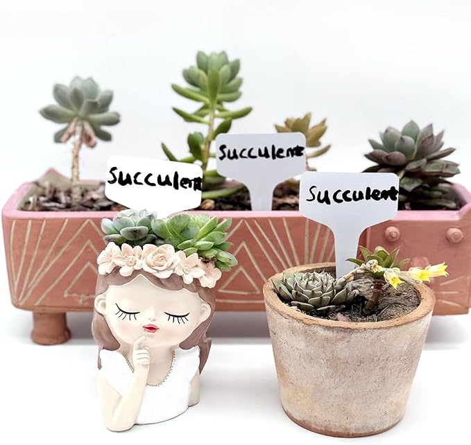 100 T-Type Plastic Plant Labels (Garden Markers Waterproof Signs for Outdoor Plant Tags Plant Markers Supplies (NO Pen) Plant T-Type Tags Indoor Herb Nursery Garden Labels