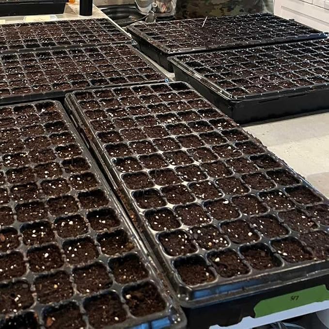 Bootstrap Farmer 72 Cell Seed Starter Tray - Extra Strength Starting Trays for 1020 Planting Seedlings, Propagation, Germination Plug Station (60)