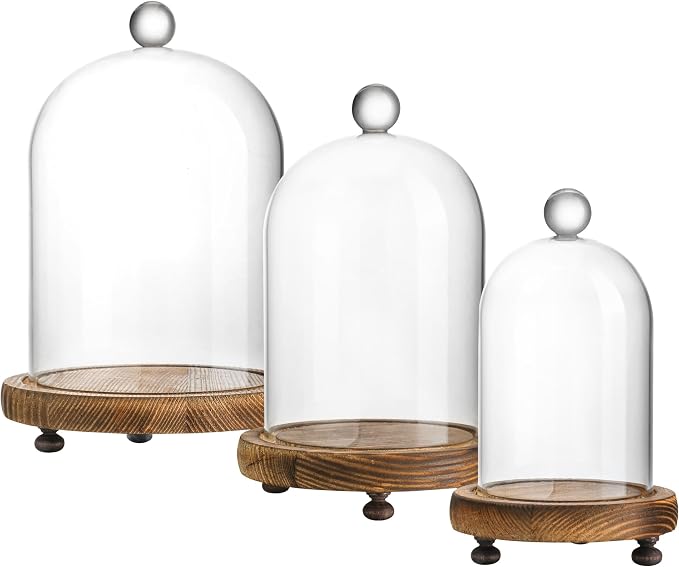 Set of 3 Decorative Glass Cloche Bell Jars with Wooden Bases, Assorted Sizes for Table Centerpieces, Seasonal Decorations and Home Accents