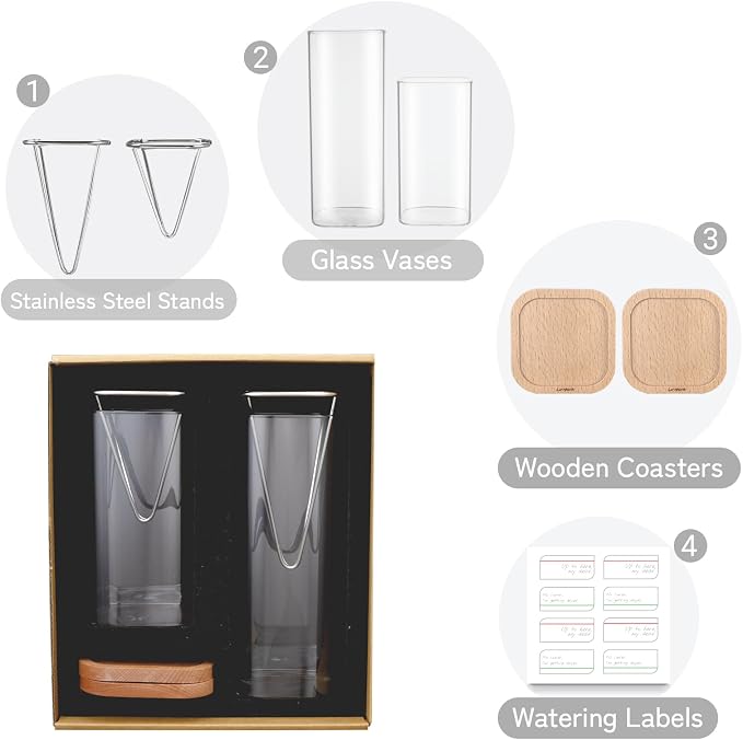 Avocado Seed Growing Kit, Set of 2 Glass Vases with Stainless Steel Holder & Wood Base, Avocado Growing Vase Hydroponic Propagation Starter Kit for Sprouting, Home Decor Plant Gift - No Seeds
