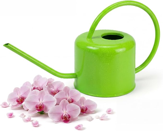 Plexon Long Spout Watering Can Indoor Plants, 40 oz Small Watering Can Pot Metal for Garden Flowers House Plants Mini, Powder Coated,Gift for Mom Girlfriend Daughter, Green