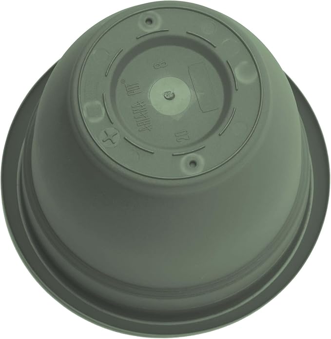 Bloem Ariana 6" Basil Round Self Watering Planter Pot - Rolled Rim Plastic Resin Indoor or Outdoor Gardening Planter with Drainage Holes, Made in USA