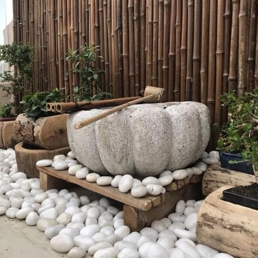 YISZM 40lbs White River Rocks for Landscaping, 2-3 Inch Natural Pebbles for Indoor Plants, High Polished Decorative Stones Garden Outdoor and Indoor DIY Vase Filler Fish Tank Aquariums