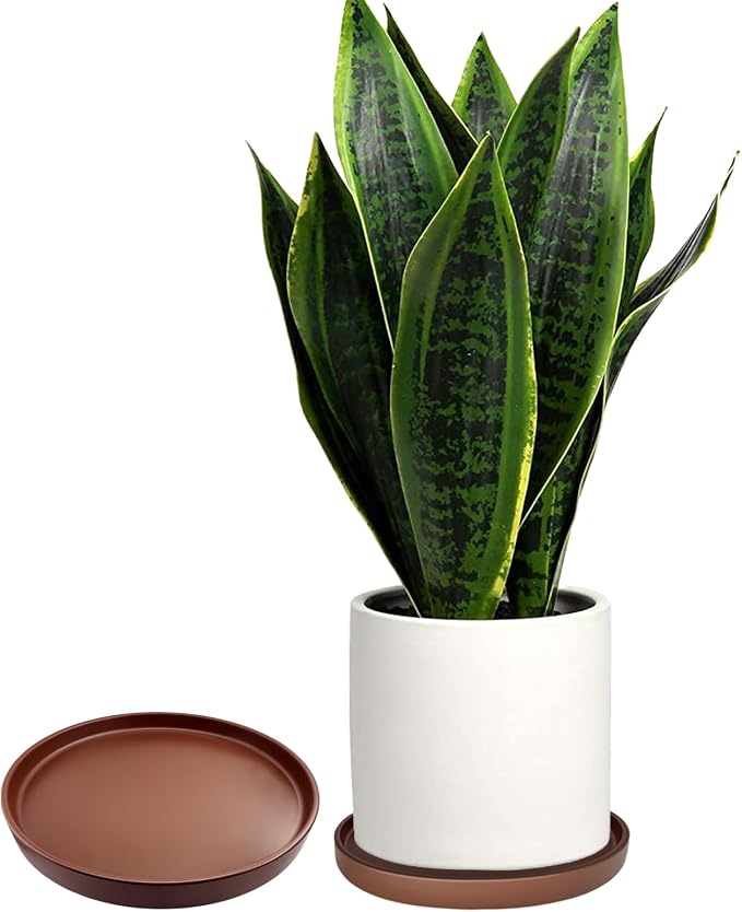 Yukfona Ceramic Plant Saucer Tray 2 Pcs 6.4 Inch Brown, 6.4" OD x6.02 ID x0.9 Deep| Fits flower pots Bottom≤ 6.02", Heavy Duty Glazed Round Planter Drip with Catch Basin for Indoor Outdoor Plants