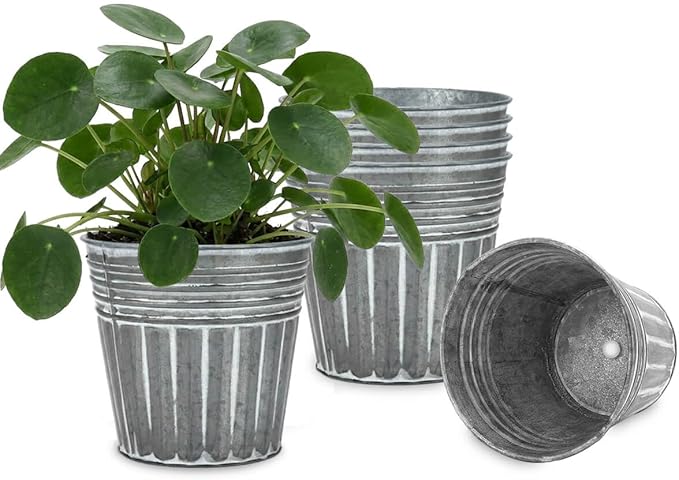vensovo 5 Inch Galvanized Bucket Planter - 6 Pack Metal Flower Pots with Drainage Holes & Plugs, Rustic Silver Tin Pots for Indoor Herbs, Outdoor Succulents, Farmhouse Home Garden Decor