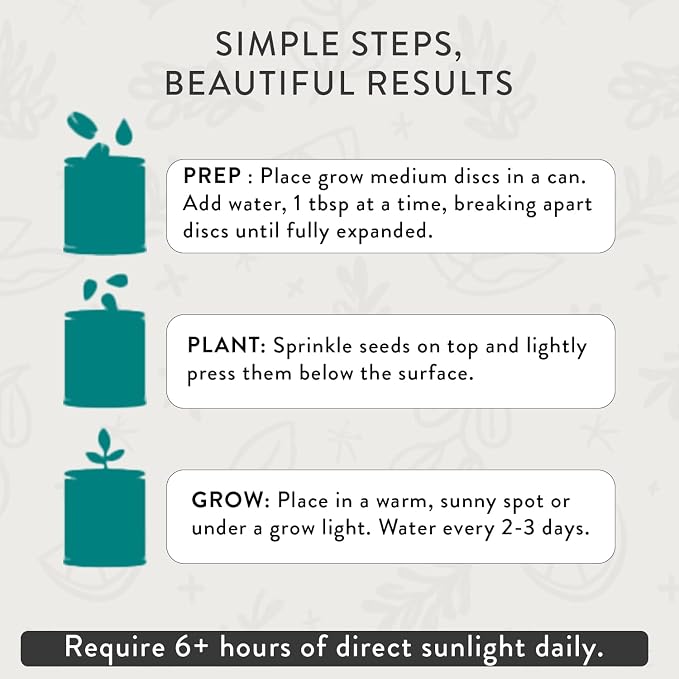 Modern Sprout Complimentary Color Grow Kits (Pack of 4) - Gift for Plant Lovers - Seed Starter Kit - Includes Organic Strawberry Tomato Sunflower & Cactus Seeds - Gardening Gifts that Grows with Love