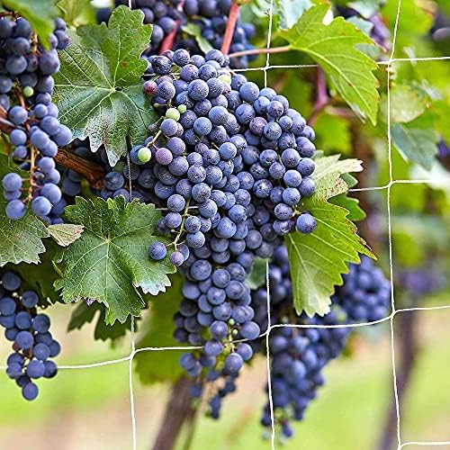 Trellis Netting, CANAGROW Heavy-Duty Garden Plant Trellis Netting for Climbing Plants, Outdoor Indoor Grow Net for Beans Tomatoes Peas Pumpkin Flowers, 6x15ft, 1 Pack - Image 5