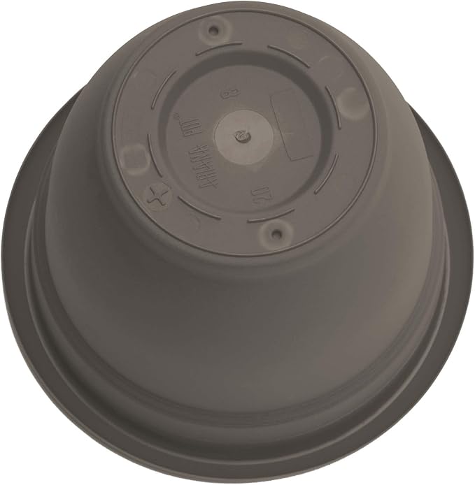 Bloem Ariana 6" Self-Watering Plastic Planter - Rolled Rim Indoor/Outdoor Garden Pot, Peppercorn