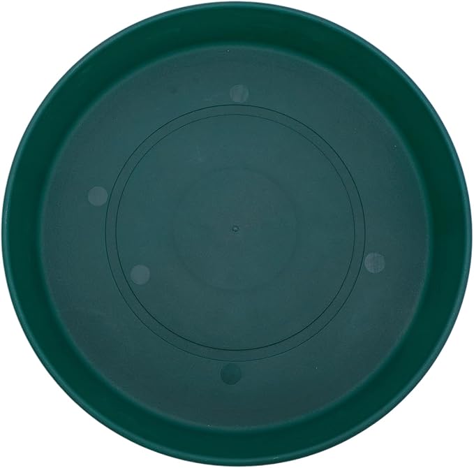 The HC Companies Round Prima Flower Pot Saucers - Plastic Plant Saucer for Outdoors & Indoors - Traditional Plant Pot Trays for Water Drainage -Durable Plant Tray (14-inch Evergreen, Pack of 1)