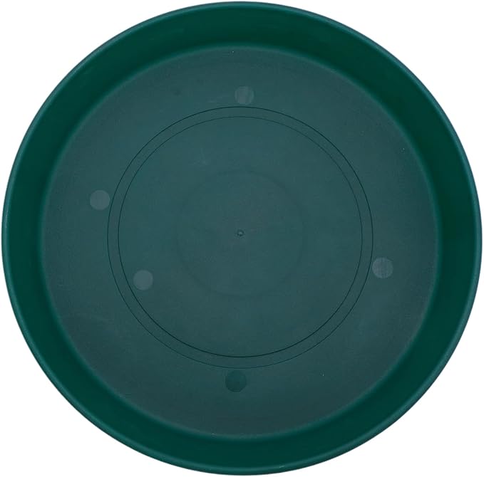 The HC Companies Round Prima Flower Pot Saucers - Plastic Plant Saucer for Outdoors & Indoors - Traditional Plant Pot Trays for Water Drainage -Durable Plant Tray (12-inch Evergreen, Pack of 1)