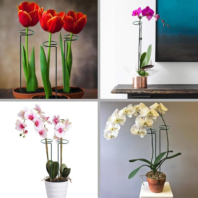 HiGift 5 Pack Plant Support Stakes, Garden Single Stem Flower Support Stick Metal Amaryllis Plant Cage Support Rings with 10pcs Plant Clips for Orchid Lily Peony Rose Stem (40 cm/16 inch Long)