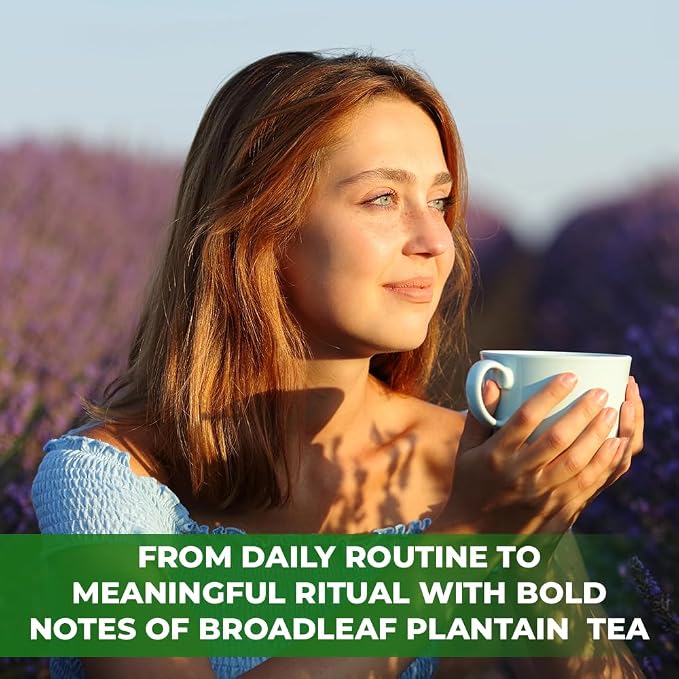 30 Bags Plantain Leaf Herb Tea Dried Plaintains Leaves (Plantago Major) - 30 Count 2g Tea Bags Greater Broadleaf Plantain Leaf Llanten