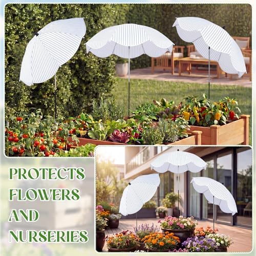 Shinylin Plant Umbrella - Image 5