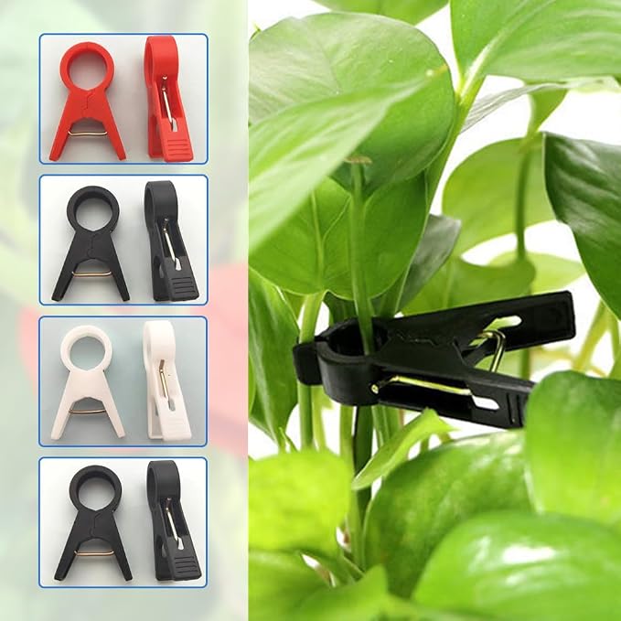 Plant Support Clips Reusable Garden Clips, Secured Plastic Plant Clips for Climbing Plants Outdoor, Plant Fixing Clips Tomato Clips for String Trellis, Vine Clips Trellis Clips (100, Clear_18MM)