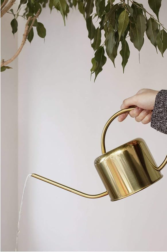 Kikkerland, Can Watering Vintage