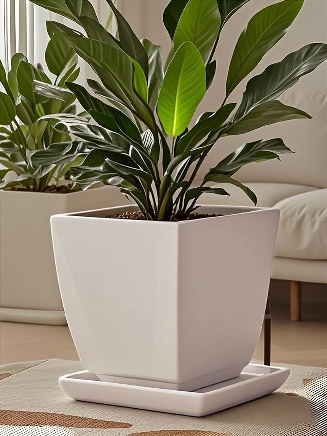 Square Ceramic Plant Saucer Tray 10 11 12 Inch White,12.4" OD x10.8 ID x1.4 Deep| Sturdy Heavy Duty Glazed Planter Drip Flower pots with Catch Basin for Indoor Outdoor Plants(12" White)