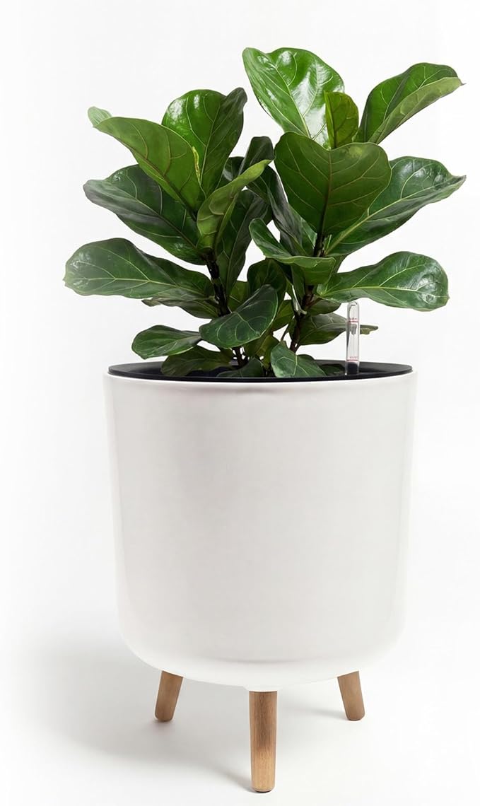 Bamworld Self Watering Pots for Indoor Plants with Water Level Indicator 12 inch Plant Pot Plastic Planter with Wooden Stand for Outdoor Plants Modern Décor for Porch Patio White Large