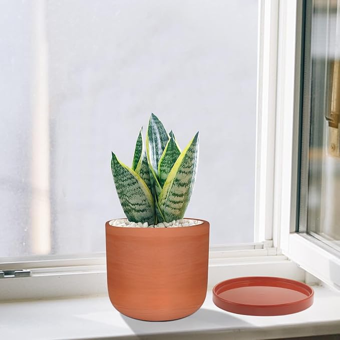 Yukfona Ceramic Plant Saucer Tray 10 Inch Red Terracotta, 10.83" OD x10.24 ID x1.1 Deep Fits Flower pots Bottom≤ 10.24",Heavy Duty Glazed Round Planter Drip with Catch Basin for Indoor Outdoor Plants